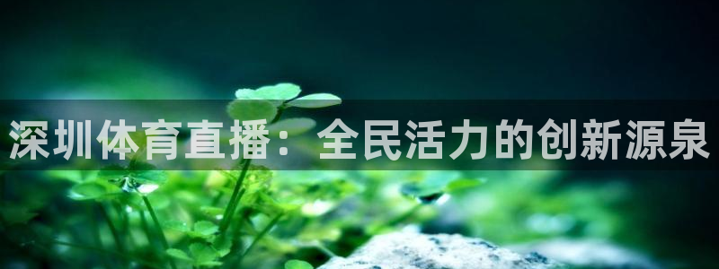 深圳体育直播：全民活力的创新源泉