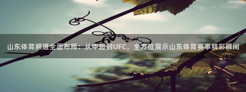 山东体育频道全面布局：从中超到UFC，全方位展示山东体育赛事精彩瞬间