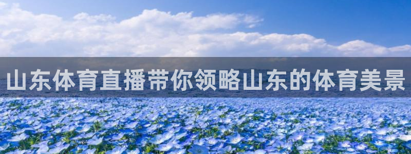 山东体育直播带你领略山东的体育美景